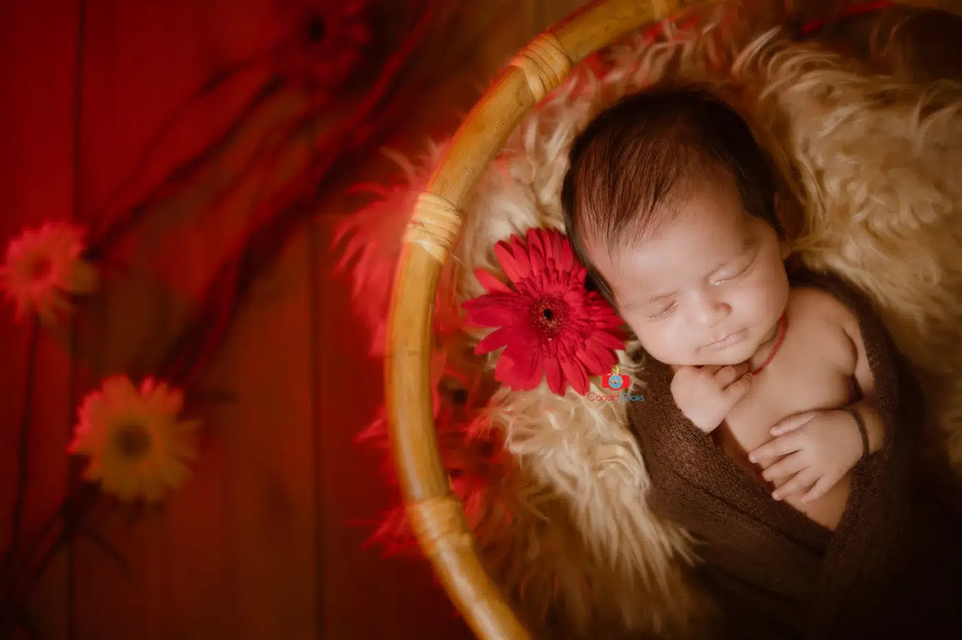 Newborn Baby Photography by Candid Clicks - newborn baby photographer in Asansol, newborn baby photoshoot, newborn baby photography - Asansol West Bengal