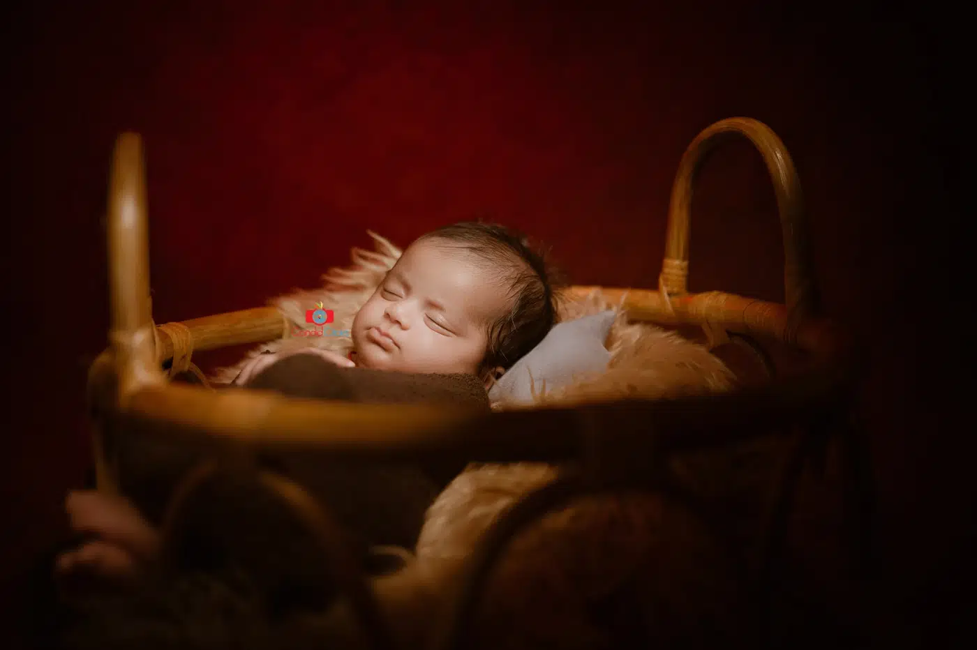 Newborn Baby Photography by Candid Clicks - newborn baby photographer in Asansol, newborn baby photoshoot, newborn baby photography - Asansol West Bengal